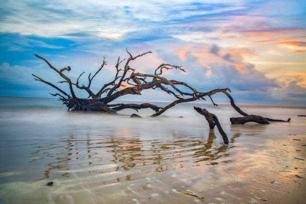Jekyll Island, Georgia — Quiet, protected island living with a unique leasehold market. Homes for sale with Val Burnett, The People's Agent.